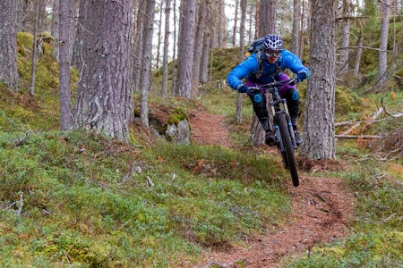 SOMMERFØRE: Ikke saft og ikke pudder, men derimot knusktørr sti. Vinteren lar vente på seg i Sogndal, og det er helt greit for stisyklistene i bygda. Dette bildet av Roald Eidsheim er fra sist helg. Foto: Simen Berg SOMMERFØRE: Ikke saft og ikke pudder, men derimot knusktørr sti. Vinteren lar vente på seg i Sogndal, og det er helt greit for stisyklistene i bygda. Dette bildet av Roald Eidsheim er fra sist helg. Foto: Simen Berg