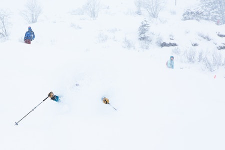 GODKJENT? Hvem sin rett er det å definere om du har kjørt pudder eller ikke? Ville for eksempel dette blitt godkjent i internetts kommentrarfelt? Foto: Tore Meirik GODKJENT? Hvem sin rett er det å definere om du har kjørt pudder eller ikke? Ville for eksempel dette blitt godkjent i internetts kommentrarfelt? Foto: Tore Meirik