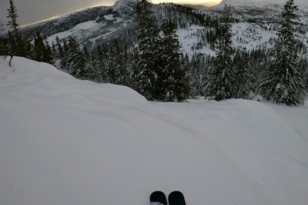 BRA DAG: Høgevarde har virkelig levert i helga. Foto: Magnus Utkilen Høgevarde