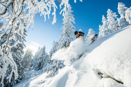 SØKTE IKKE: Varingskollen klagde på manglende støtte, men har selv ikke søkt. Foto: Vegard Breie Varingskollen
