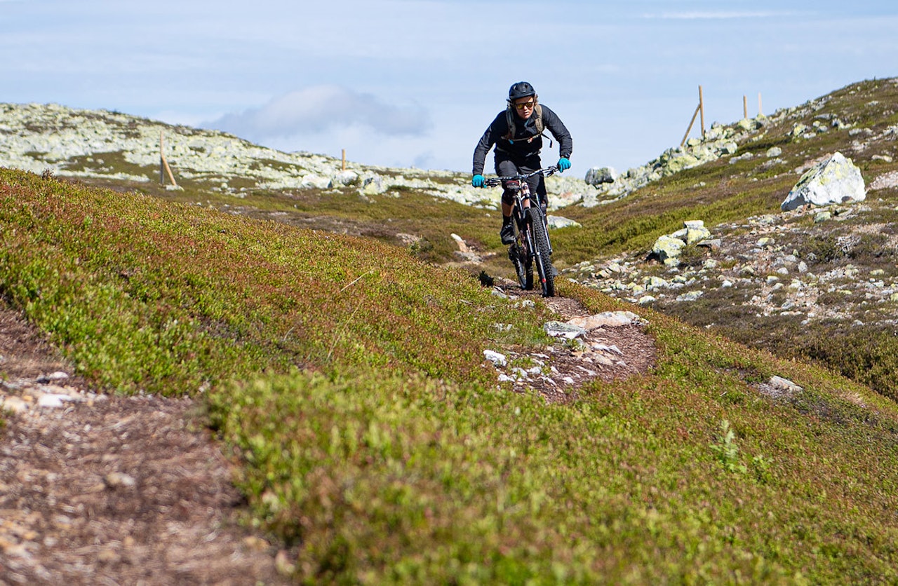 ÅPNINGSHELG: I helgen åpna stolheisen i Trysil, som gir tilgang til fine og smale sykkelstier på fjellet. Foto: Ola Mattsson stisykling Trysil