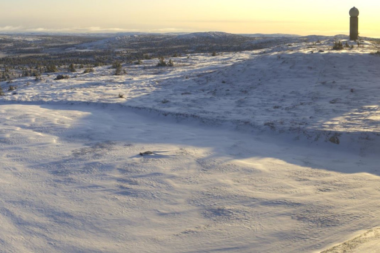 HAFJELL: Sjekk snøen som har kommet på Hafjell denne uken. Foto: Alpinco