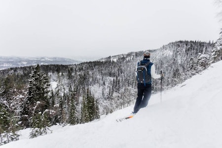 NYSNØ: Det skal komme godt med nysnø i Oslo. Det betyr fine skiforhold både i Rødkleiva (bildet) og Wyller (som du ser i horisonten). Foto: Andreas Løve Storm Fausko Rødkleiva Oslo