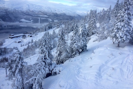 VOSS: Det har snødd bra på Voss den siste tiden. Foto: Voss Resort Bilde fra skianlegget på Voss