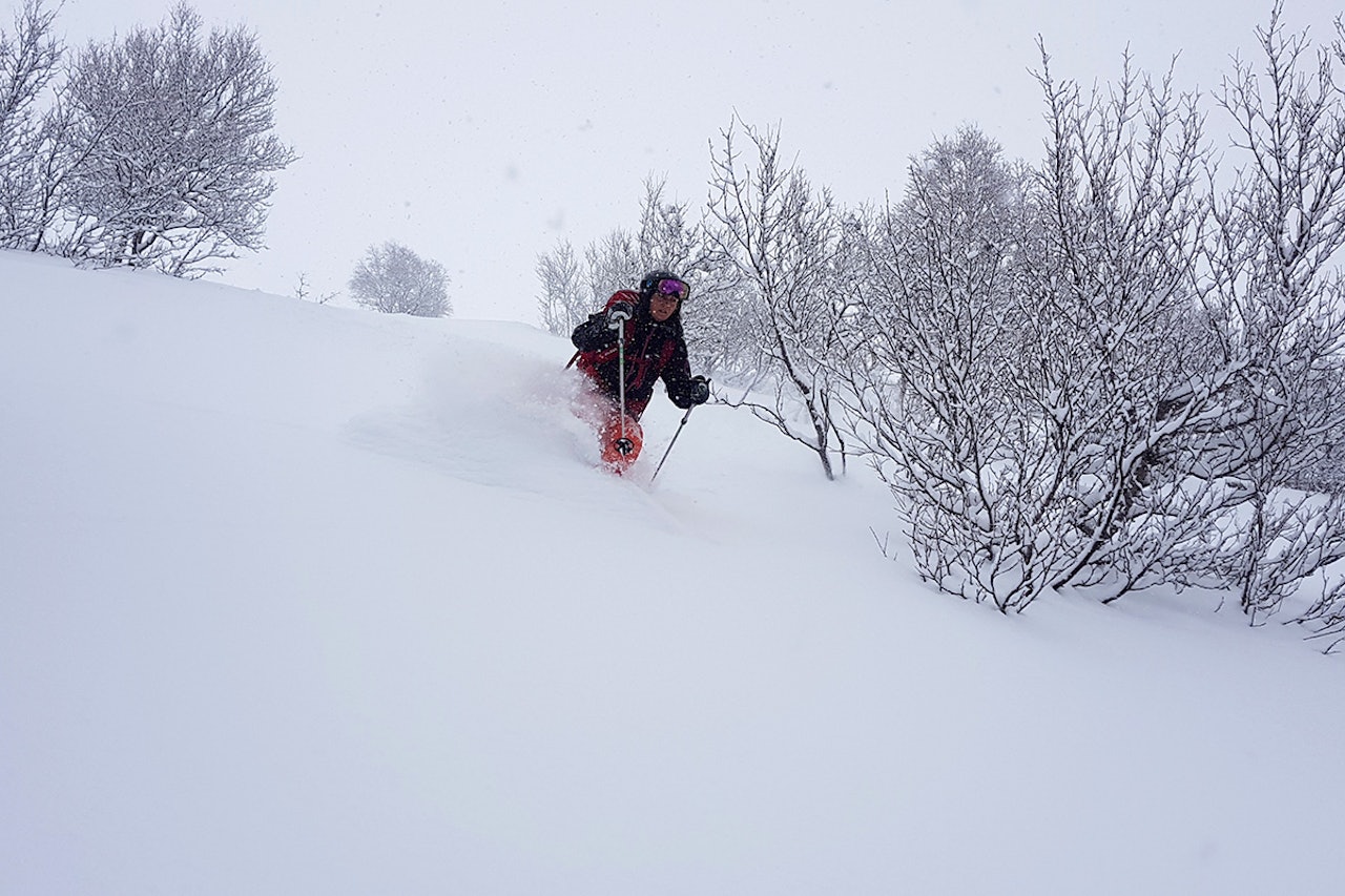 PUDDER: Romsdalen fikk et skikkelig snødump i helga. Foto: Ragni Klokkerstuen Odéen PUDDER: Romsdalen fikk et skikkelig snødump i helga. Foto: Ragni Klokkerstuen Odéen