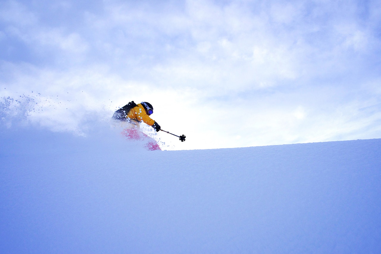 POPULÆRT: Nysnø slår often an hos leserne. Det gjorde det også denne gangen. Foto: Rolf Jørgensen POPULÆRT: Nysnø slår often an hos leserne. Det gjorde det også denne gangen. Foto: Rolf Jørgensen