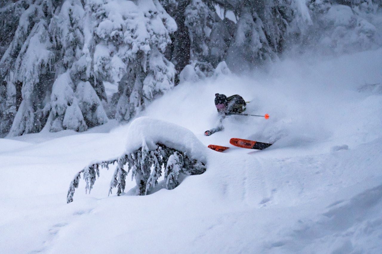 PUDDER: British Columbia snødde ned etter nyttår. Da var heldigvis denne gjengen på plass. Foto: Henrik Faye PUDDER: British Columbia snødde ned etter nyttår. Da var heldigvis denne gjengen på plass. Foto: Henrik Faye