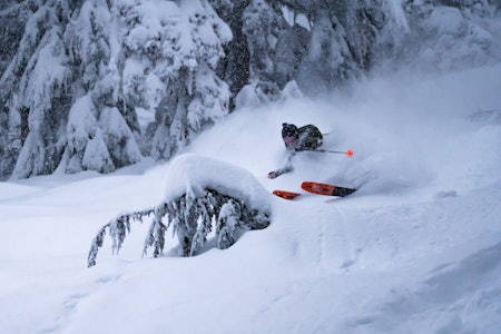 PUDDER: British Columbia snødde ned etter nyttår. Da var heldigvis denne gjengen på plass. Foto: Henrik Faye PUDDER: British Columbia snødde ned etter nyttår. Da var heldigvis denne gjengen på plass. Foto: Henrik Faye
