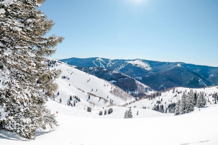 DONASJON: Vail-sjefen gjør en stordonasjon i kampen mot diskrimering og Covid-19 i USA. Foto: Vail Resort Vail Resort