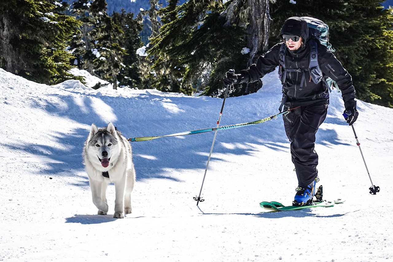 PÅ TUR: Mattias Fredriksson med sin sibirske husky Tikaani. Foto: David Kantermo PÅ TUR: Mattias Fredriksson med sin sibirske husky Tikaani. Foto: David Kantermo