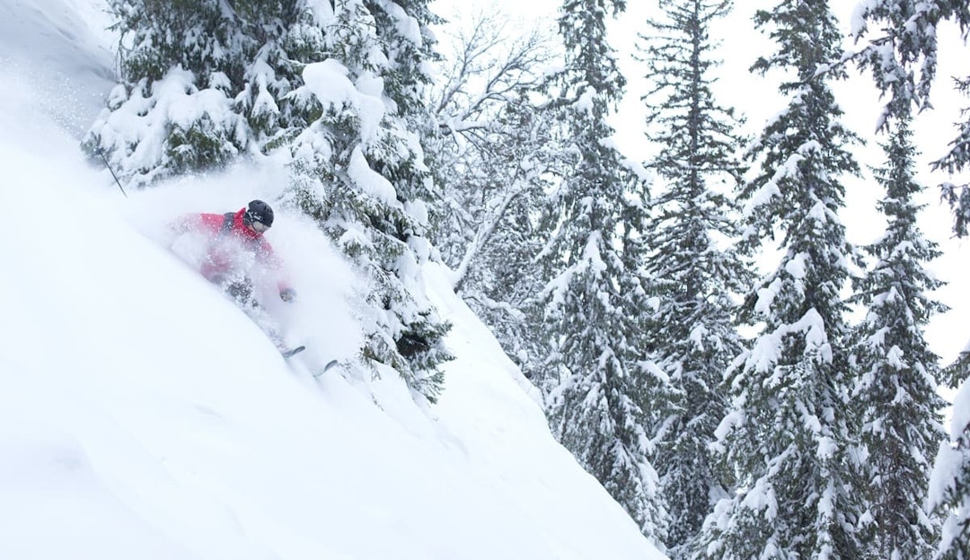 JA-DAG: Gode skidager kommer, og da gjelder det å være klar. Bildet er fra Totteskogen. Foto: Kalle Hägglund TOTTESKOGEN: Et av Norges mest brukte skogskjøringsområder, Totteskogen i Hemsedal, trues av utbygging. Arkivfoto: Kalle Hägglund