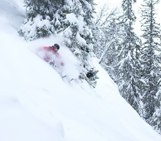JA-DAG: Gode skidager kommer, og da gjelder det å være klar. Bildet er fra Totteskogen. Foto: Kalle Hägglund TOTTESKOGEN: Et av Norges mest brukte skogskjøringsområder, Totteskogen i Hemsedal, trues av utbygging. Arkivfoto: Kalle Hägglund