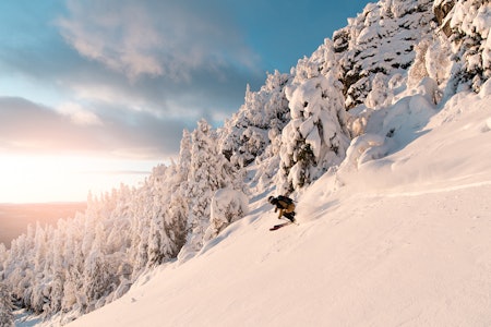 Sindre Holtet Kvitfjell