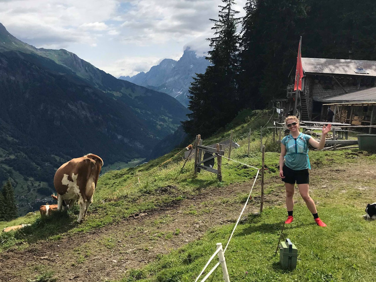 HALLO! Lisen Strøm er Norges beste, kvinnelige frigjører, og hun har vært i Sveits på ferie sammen med – blant andre – noen kuer. HALLO! Lisen Strøm er Norges beste, kvinnelige frigjører, og hun har vært i Sveits på ferie sammen med – blant andre – noen kuer.