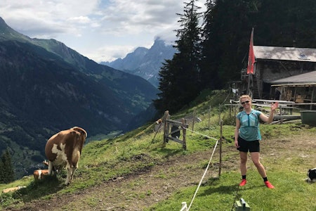 HALLO! Lisen Strøm er Norges beste, kvinnelige frigjører, og hun har vært i Sveits på ferie sammen med – blant andre – noen kuer. HALLO! Lisen Strøm er Norges beste, kvinnelige frigjører, og hun har vært i Sveits på ferie sammen med – blant andre – noen kuer.