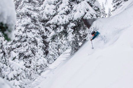 PUDDERJUL: Lisen Strøm feirer jul i USA med nysnø til over hjelmen. Foto: Eric Sales PUDDERJUL: Lisen Strøm feirer jul i USA med nysnø til over hjelmen. Foto: Eric Sales