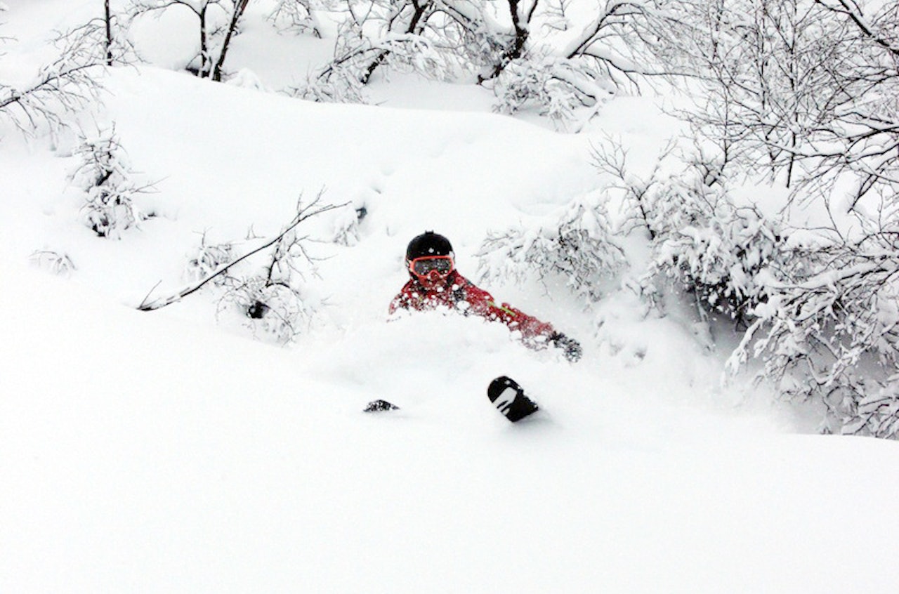 PUDDERFEST: Det kan komme vanvittige snømengder i Røldal framover. Foto: Asgeir Rusti PUDDERFEST: Det kan komme vanvittige snømengder i Røldal framover. Foto: Asgeir Rusti