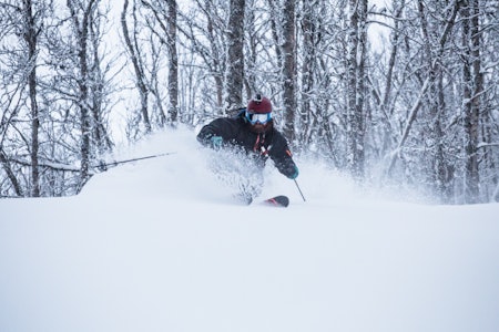 DRA TIL SKOGS! Hvis du trodde Narvikfjellet kun var treløs og alpin har nok mottatt feil informasjon. Fri Flyt lærte litt av hvert på guidet tur med selveste Ronny Dahl. Bilde: Christian Nerdrum Narvik narvikfjellet freeride guide fri flyt skipatruljen