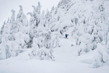 VINTERLAND: Denne uka kom det to meter snø, vi fikk nyte det i fred mens resten av Sea To Sky's filmteam var i Japan. Foto: Bård Basberg VINTERLAND: Denne uka kom det to meter snø, vi fikk nyte det i fred mens resten av Sea To Sky's filmteam var i Japan. Foto: Bård Basberg
