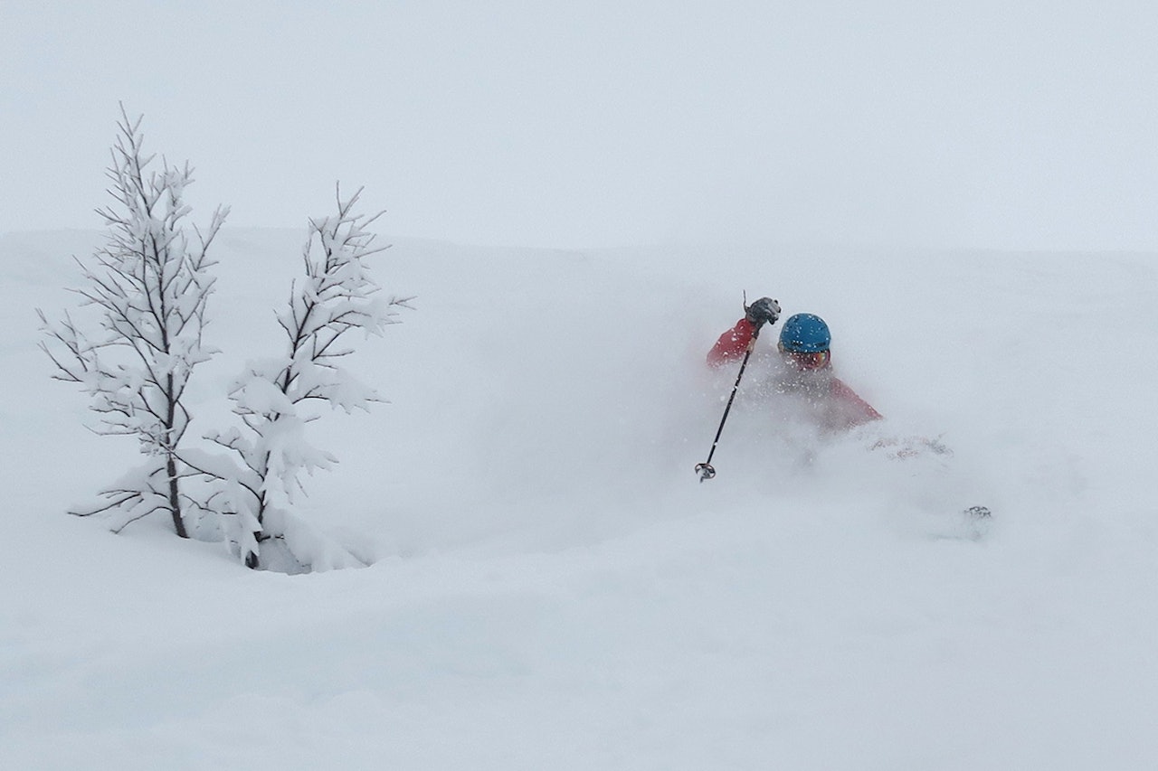 NEDSNØDD: Ola Hovdenak fikk kjørt pudder i Myrkdalen i helga. Foto: Bård Smestad NEDSNØDD: Ola Hovdenak fikk kjørt pudder i Myrkdalen i helga. Foto: Bård Smestad