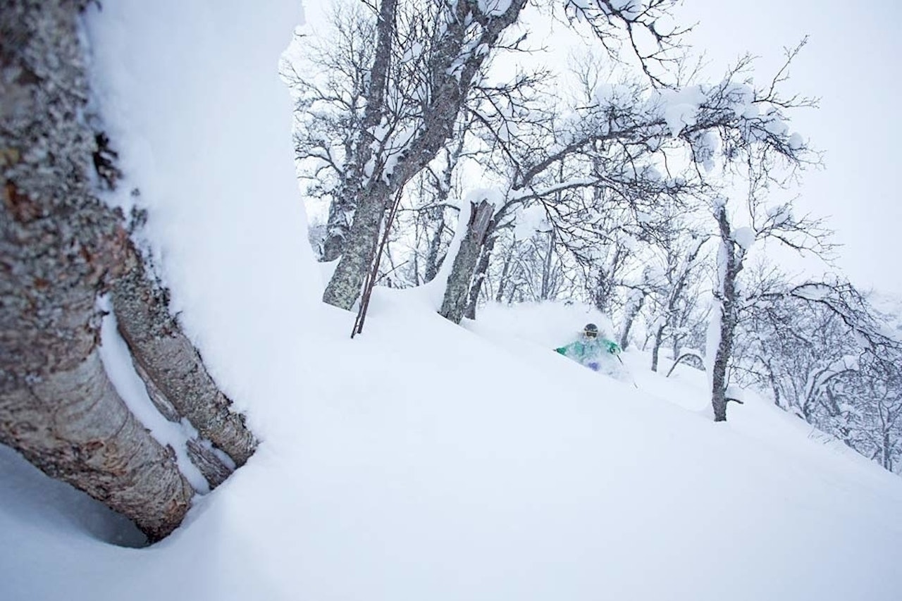 HEMSEDAL: Hemsedal kan by på fantastisk frikjøring. Til neste år blir det konkurranse. Foto: Kalle Hägglund HEMSEDAL: Hemsedal kan by på fantastisk frikjøring. Til neste år blir det konkurranse. Foto: Kalle Hägglund