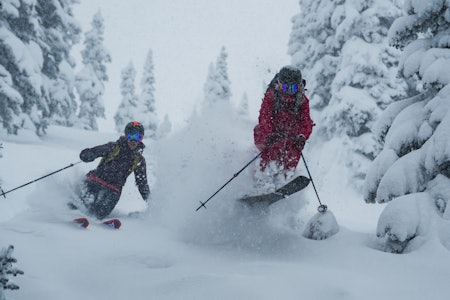 SHREDINNE: Ida Nilsen er ikke fremmed for verken dyp snø eller bratt skikjøring. Foto; Mattias Fredriksson SHREDINNE: Ida Nilsen er ikke fremmed for verken dyp snø eller bratt skikjøring. Foto; Mattias Fredriksson