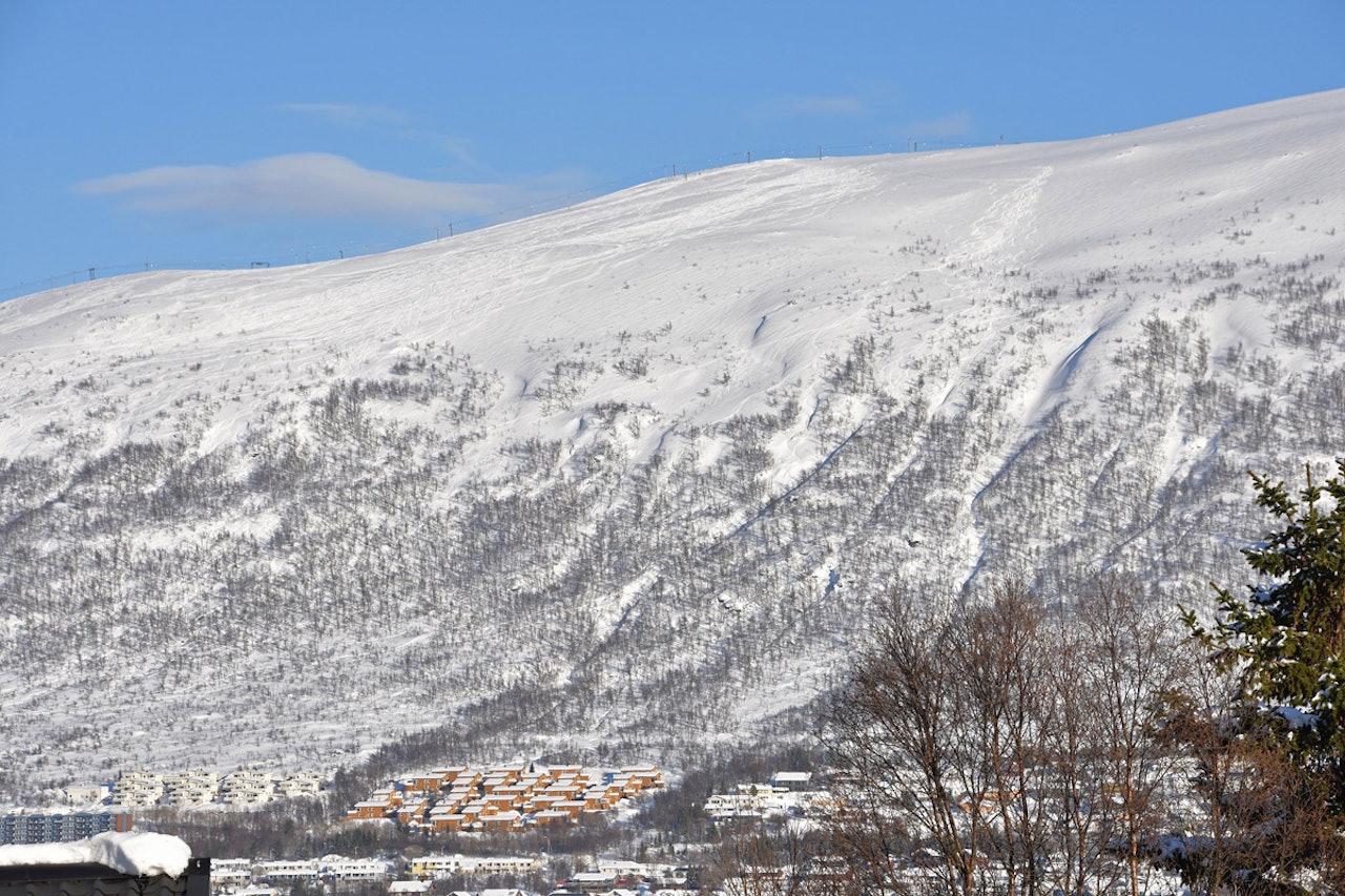 SKREDOMRÅDE: Bildet viser det svært populære offpistområdet ved Tromsø Alpinpark, hvor det har skjedd flere skredulykker. Men til helga blir det motsatt, da arrangeres Skredvettdagen i Troms Alpinpark. Foto: Espen Nordahl