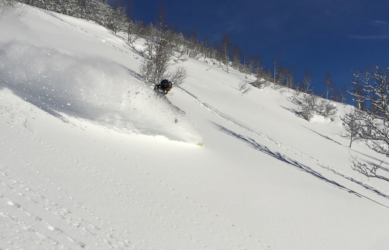 HOVDEN: Sørlandets råeste skianlegg hadde pudder på menyen i helga! Foto: Truls Røed HOVDEN: Sørlandets råeste skianlegg hadde pudder på menyen i helga! Foto: Truls Røed