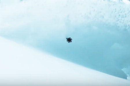 ÅRETS BESTE? Vi tipper Canvas – som du ser her – er vinterens beste, gratis skifilm.