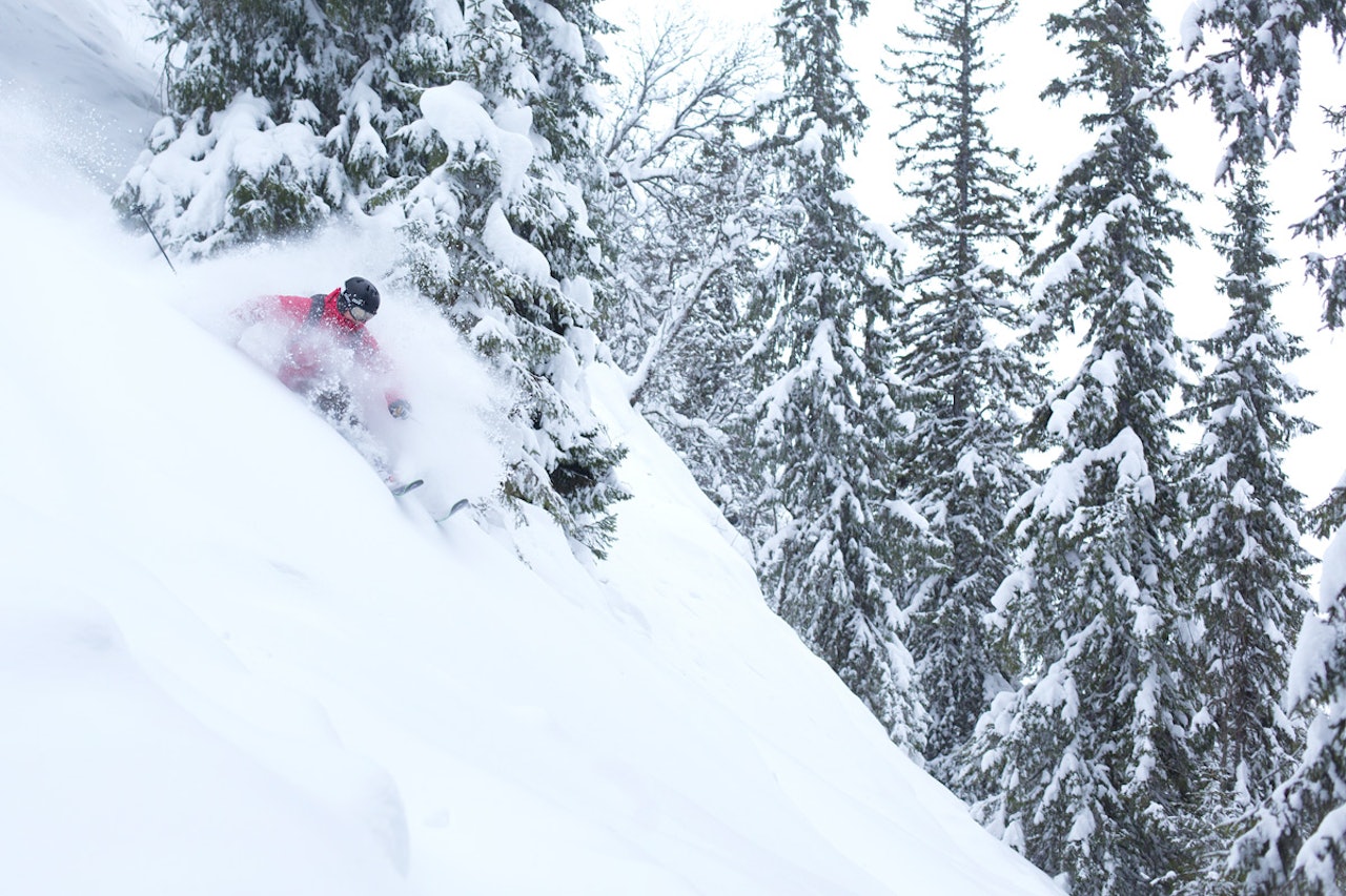 Hemsedal Totteskogen sesongkort solheisen frikjøring frreride skiinfo guide fri flyt ski alpint snowboard