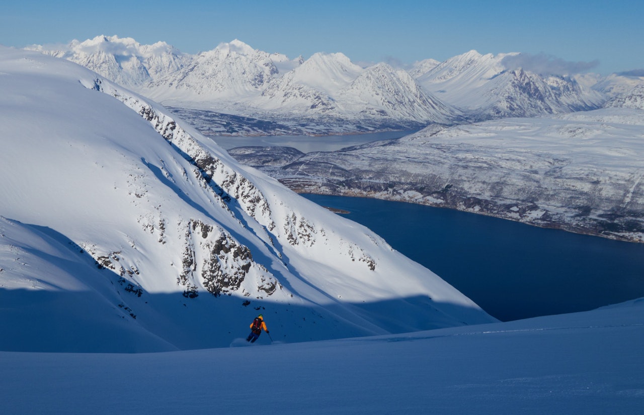 FORSKER: Universitetet i Tromsø vil forske på atferd. Foto: Andrea Mannberg FORSKER: Universitetet i Tromsø vil forske på atferd. Foto: Andrea Mannberg