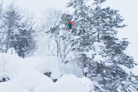 SV2-EDIT: Se Muggeruds edit her. Foto: Skjermdump SV2-EDIT: Se Muggeruds edit her. Foto: Skjermdump