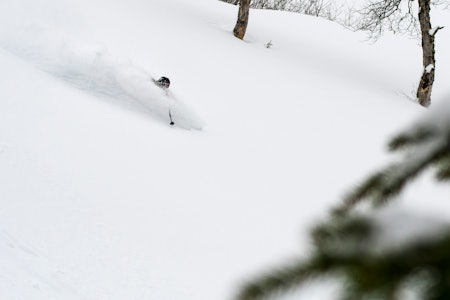 FRA BONDEHEISEN: Johan Jonsson oppdager nytt skiterreng like ved kåken sin i Engelberg. Foto: Elias Lundh