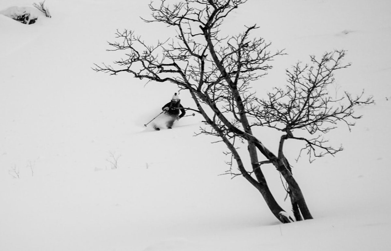 PERFEKT SNØ: Kristin Lome koser seg med langt bedre forhold enn hva værmeldinga antydet. Foto: Turtrusene PERFEKT SNØ: Kristin Lome koser seg med langt bedre forhold enn hva værmeldinga antydet. Foto: Turtrusene