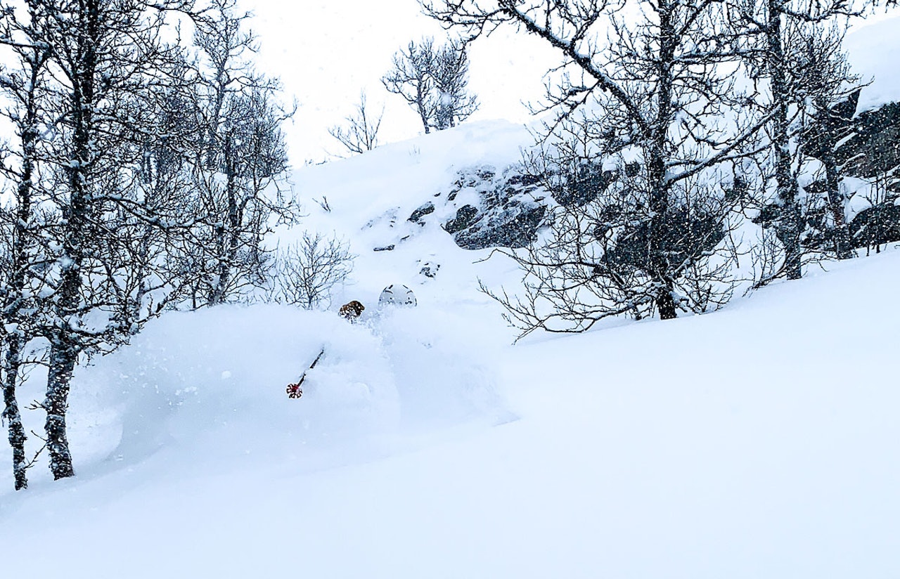 DYPT: Jesper Wembstad nyter godsakene i Gausta skisenter sist helg. Foto: Filip Jørundland