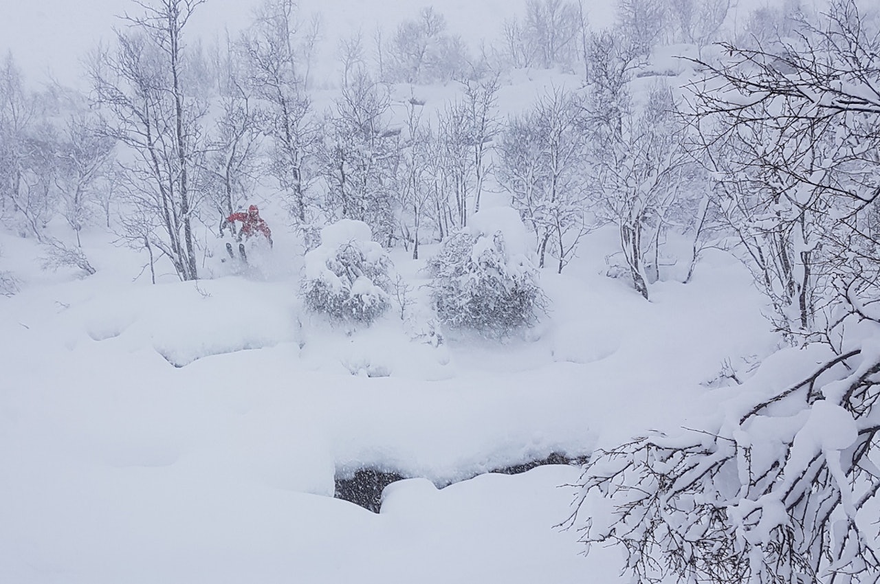 UKENS VINNER: Erlend Gjesdals bilde fra Strandafjellet sist helg fikk flest stemmer i ukens Helgebilde-konkurranse. Foto: Erlend Gjesdal UKENS VINNER: Erlend Gjesdals bilde fra Strandafjellet sist helg fikk flest stemmer i ukens Helgebilde-konkurranse. Foto: Erlend Gjesdal