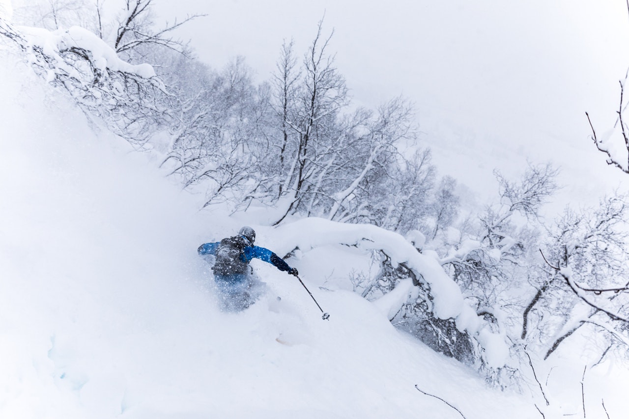 STRANDAFJELLET: Slik så det ut da Stranda åpnet med masse nysnø sist helg. Kommende helg vil enda flere av heisene gå. Foto: Håkon Funderud Lundkvist