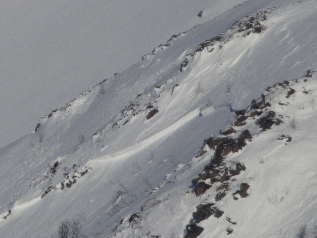 HER GIKK SKREDET: Her ser man deler av bruddkanten på skredet på Grytøya. Bildet er tatt mandag morgen. Bilde: Christian Dramsdahl HER GIKK SKREDET: Her ser man deler av bruddkanten på skredet på Grytøya. Bildet er tatt mandag morgen. Bilde: Christian Dramsdahl