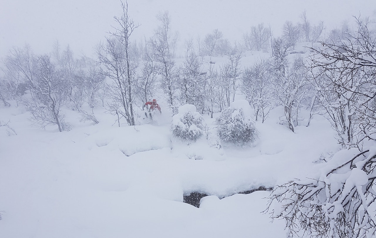 STRANDAFJELLET: Sesongstarten på lørdag bød på vanvittige pudderforhold. Foto: Erlend Gjesdal STRANDAFJELLET: Sesongstarten på lørdag bød på vanvittige pudderforhold. Foto: Erlend Gjesdal