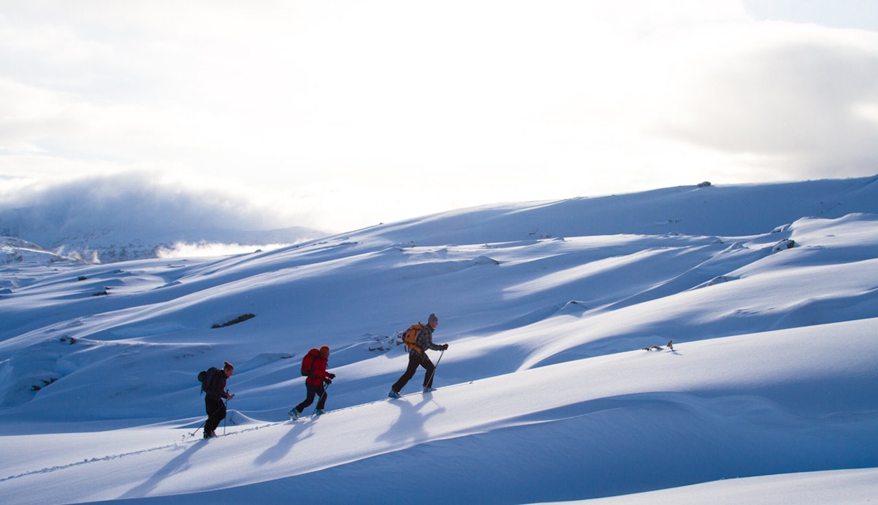 GOD HELG: Dette er ett av to vinnerbilder denne uka. Nå kommer nye sjanser til å vinne bok i hlegtebilde-konkurransen! Foto: Daniel Green GOD HELG: Dette er ett av to vinnerbilder denne uka. Nå kommer nye sjanser til å vinne bok i hlegtebilde-konkurransen! Foto: Daniel Green