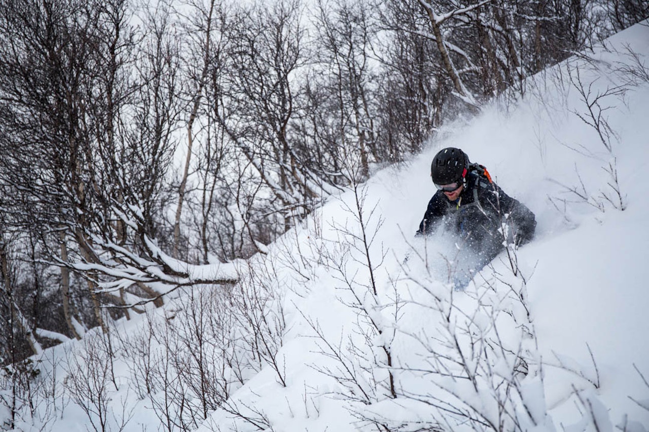 KRATTKJØRING: Kanskje ikke det du trakter etter i april, men i midten av november er det helt ok med litt kratt sammen med puddersnøen. Foto: Torbjørn Melby KRATTKJØRING: Kanskje ikke det du trakter etter i april, men i midten av november er det helt ok med litt kratt sammen med puddersnøen. Foto: Torbjørn Melby