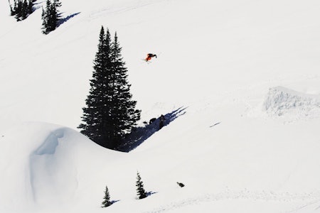 TANNER HALL: Mildt sagt legendarisk. TANNER HALL: Mildt sagt legendarisk.