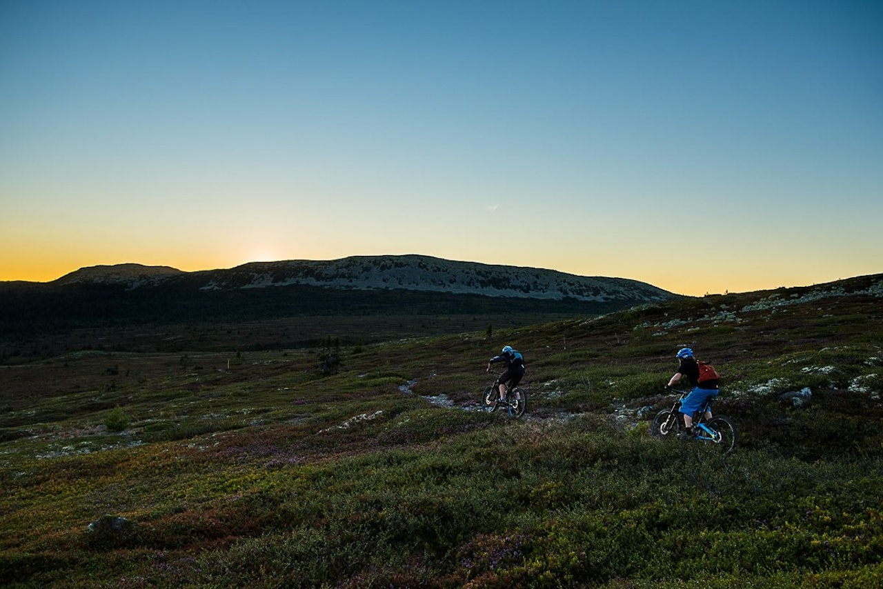 TOPP KVALITET: Det er ikke bare på tilrettelagte stier i Gullia at Trysil har fet stisykling å by på. Foto: Vegard Breie TOPP KVALITET: Det er ikke bare på tilrettelagte stier i Gullia at Trysil har fet stisykling å by på. Foto: Vegard Breie