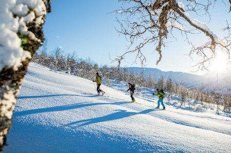 Skiløparar i snilt skiterreng som er typisk fordette området. Foto: Håvard Myklebust.