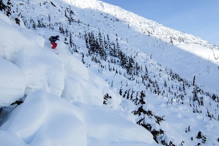 DEN KANADISKE DRØMMEN: Bratte putelinjer og enorme snømengder. Foto: Øystein Bjelland DEN KANADISKE DRØMMEN: Bratte putelinjer og enorme snømengder. Foto: Øystein Bjelland