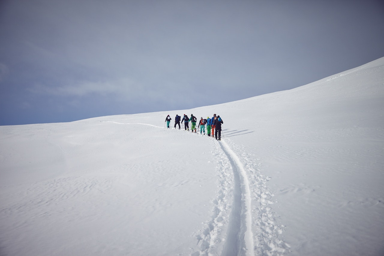 FLOTTE SKIFORHOLD: Deltakerne fikk både sol og nysnø. Her på vei opp Buskredsnosi. Foto: Fjellsportfestivalen FLOTTE SKIFORHOLD: Deltakerne fikk både sol og nysnø. Her på vei opp Buskredsnosi. Foto: Fjellsportfestivalen
