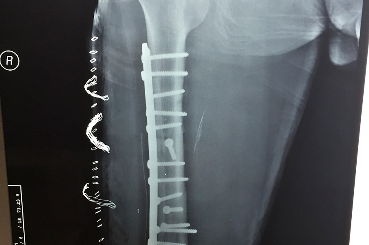 VANT: Dette bildet vant ukens helgebildet. Foto: Petter Folgerø VANT: Dette bildet vant ukens helgebildet. Foto: Petter Folgerø