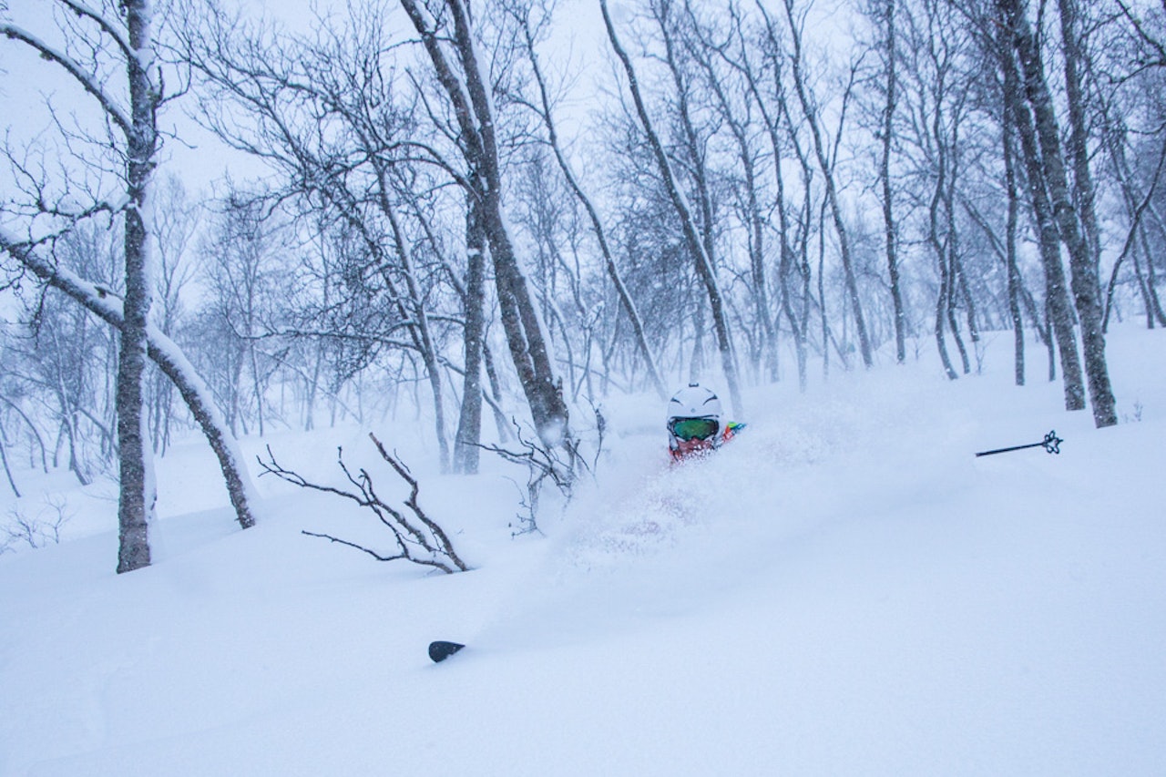 DRØMMEFORHOLD: Det snødde tett på Strandafjellet i helga. Foto: Håvard Myklebust DRØMMEFORHOLD: Det snødde tett på Strandafjellet i helga. Foto: Håvard Myklebust