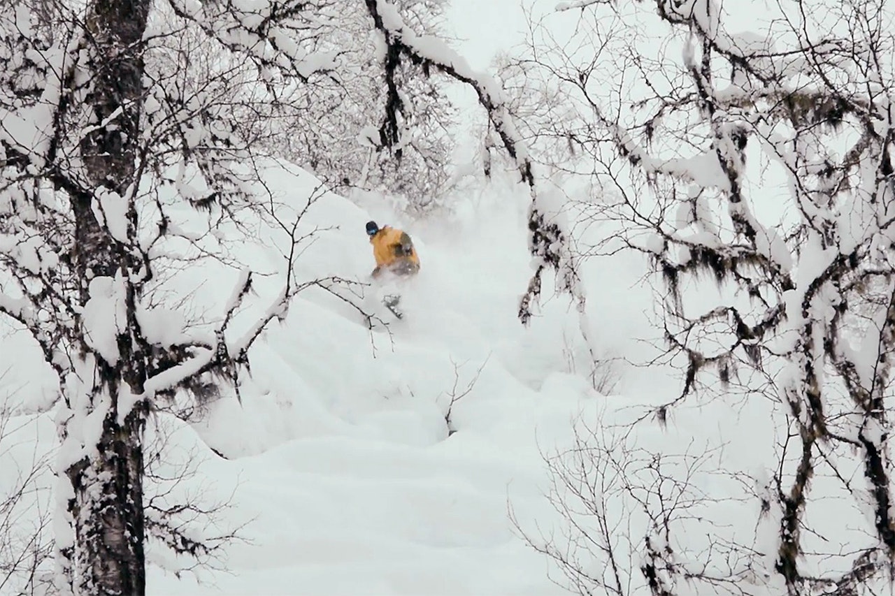 VESTLANDET: Knut og Roald Christoffersen har brukt de to siste sesongene på Vestlandet. Foto: Skjermdump VESTLANDET: Knut og Roald Christoffersen har brukt de to siste sesongene på Vestlandet. Foto: Skjermdump