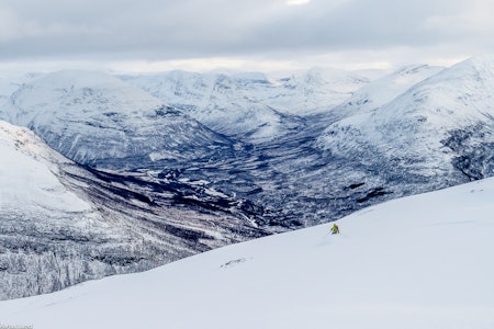 TAMOKDALEN: Slik så det ut i Tamokdalen i Troms i helga. Foto: Sanna Kvaal